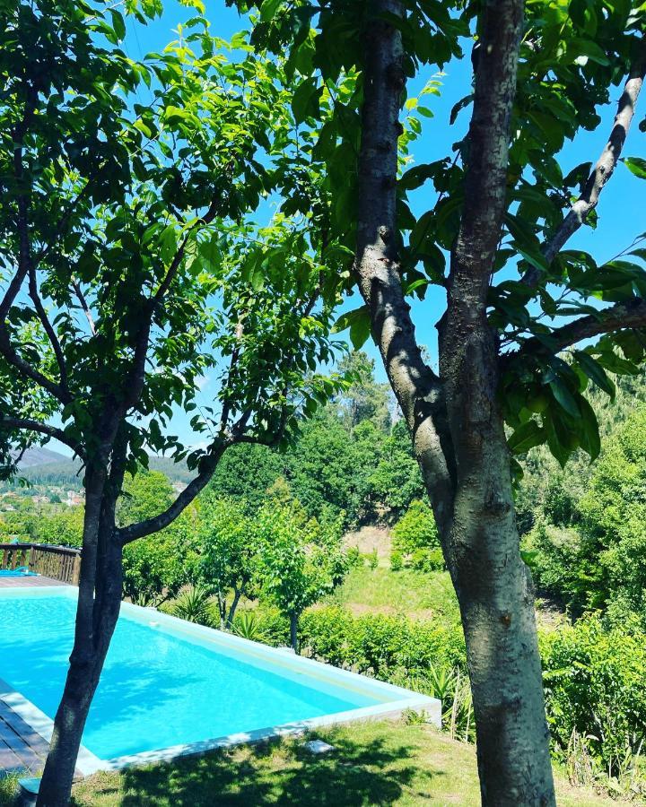 Quinta Das Ameixas - Country & Nature Αρούκα Εξωτερικό φωτογραφία