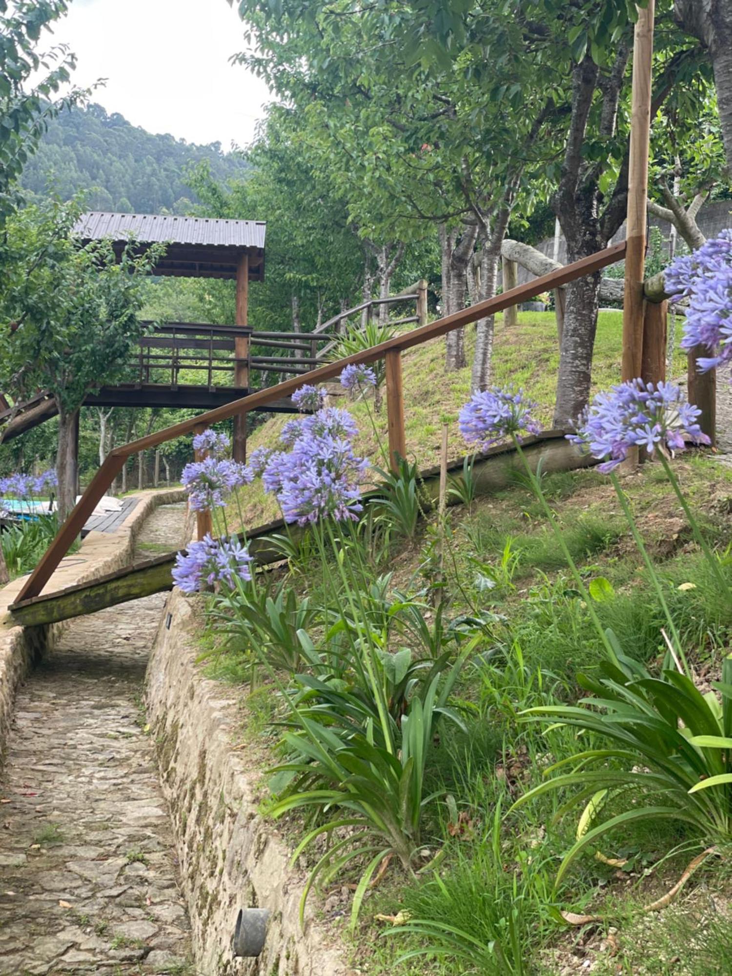 Quinta Das Ameixas - Country & Nature Αρούκα Εξωτερικό φωτογραφία